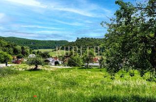 Grundstück zu kaufen in 91346 Wiesenttal, Sonniges Hanggrundstück mit traumhaftem Ausblick, vollerschlossen!