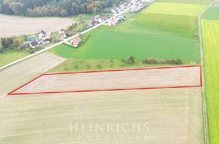 Grundstück zu kaufen in 85250 Altomünster, 1,63 ha Agrarland mit Acker und Wiese – sofort nutzbar, zentral in Altomünster