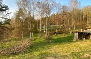 Grundstück zu kaufen in Altenhammer, 92696 Flossenbürg, Baugrundstück mit Wald- und Wiesenflächen