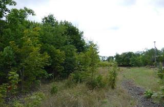 Grundstück zu kaufen in Rudolf-Tarnow-Str. 1 c, 19288 Ludwigslust, Baugrundstück in Ludwigslust, geeignet für Bauträger und Investoren