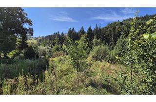 Grundstück zu kaufen in 71579 Spiegelberg, Großzügiges Hanggrundstück mit genehmigten Bauplänen – idyllisch und unverbaubar