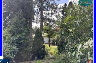 Grundstück zu kaufen in 15366 Neuenhagen, Baugrundstück für kleines Einfamilien- oder Tinyhaus