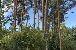 Grundstück zu kaufen in Wiesendamm 23, 15754 Königs Wusterhausen, Idyllisches Baugrundstück - Zeesener See vor der Haustür