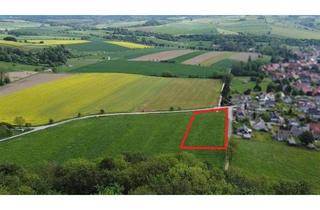 Grundstück zu kaufen in 37539 Gittelde, Baugrundstück in Toplage Gittelde