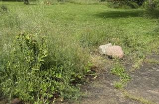 Grundstück zu kaufen in 04668 Otterwisch, RUHE, NATUR, SEE. IHR PLATZ ZUM ANKOMMEN!!!