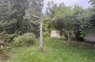 Grundstück zu kaufen in 04668 Otterwisch, WOHNEN WO DIE NATUR ZU HAUSE IST!!!