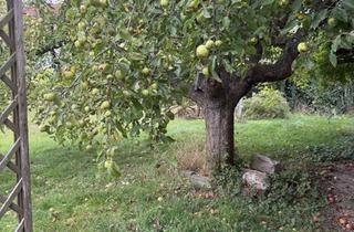 Grundstück zu kaufen in 04668 Otterwisch, WOHNEN WO DIE NATUR ZU HAUSE IST!!!