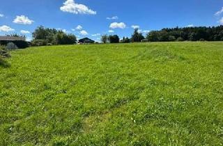 Grundstück zu kaufen in 84347 Pfarrkirchen, Baugrundstück in Pfarrkirchen, Ortsteil Oberham