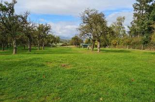 Grundstück zu kaufen in 35083 Wetter, Landwirtschaftliches Grundstück mit über 15.000 m² in Wetter