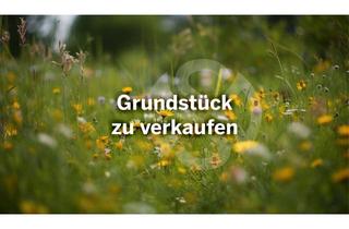 Grundstück zu kaufen in 06774 Friedersdorf, Ruhiges Baugrundstück