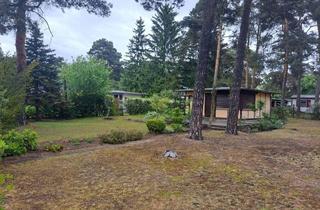 Grundstück zu kaufen in Schubertstraße 16C, 15741 Bestensee, Freizeitgrundstück oder Neubebauung- Sie entscheiden