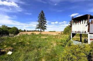 Grundstück zu kaufen in 17348 Woldegk, Bauland in dörflicher Lage zwischen Neustrelitz und Woldegk