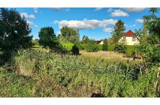 Grundstück zu kaufen in Canzow, 17348 Woldegk, ☆ ☆ ☆ ☆ ☆ Baugrundstück in Canzow, Woldegk ☆ ☆ ☆ ☆ ☆