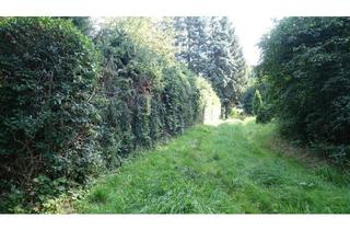 Grundstück zu kaufen in 09599 Freiberg, Wohnen im Herzen von Freiberg – umgeben von Natur