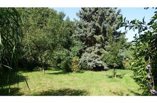 Grundstück zu kaufen in 09599 Freiberg, Wohnen im Herzen von Freiberg – umgeben von Natur