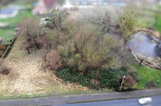 Grundstück zu kaufen in 17094 Cölpin, **Grundstück in idyllischer Lage – Vielseitig bebaubar und ideal für Bauherren oder Investoren**