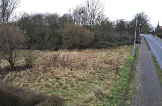 Grundstück zu kaufen in 17094 Cölpin, **Grundstück in idyllischer Lage – Vielseitig bebaubar und ideal für Bauherren oder Investoren**