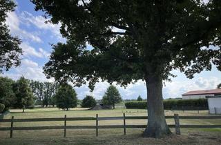 Grundstück zu kaufen in 38448 Warmenau, Toller Bauplatz in attraktiver Lage