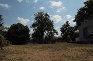 Grundstück zu kaufen in 76467 Bietigheim, Bauplatz für EFH/DH/MFH in Nähe Murgpark