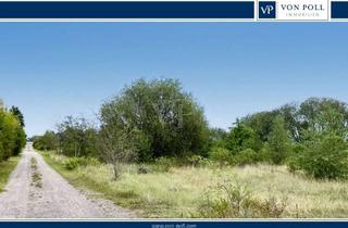 Grundstück zu kaufen in 29562 Suhlendorf, Naturnah leben, entspannt bauen – Ihr Grundstück in ländlicher Umgebung von Suhlendorf