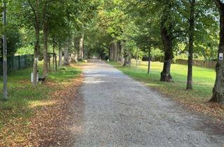 Grundstück zu kaufen in 63741 Nilkheim, Sahnestück - direkt an der kleinen Schönbuschallee "Nilkheim"