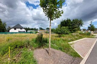 Grundstück zu kaufen in An Tilzow, 18528 Bergen, Natur pur auf Rügen – Grundstück nahe Bergen für Individualisten