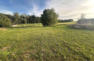 Grundstück zu kaufen in 91352 Hallerndorf, Idyllisches Baugrundstück im Grünen