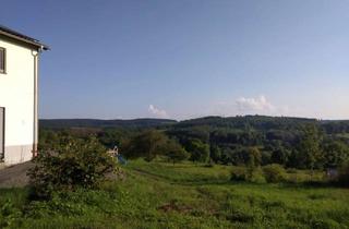 Grundstück zu kaufen in 35327 Ulrichstein, Traumhaftes Grundstück mit unglaublicher Fernsicht in das