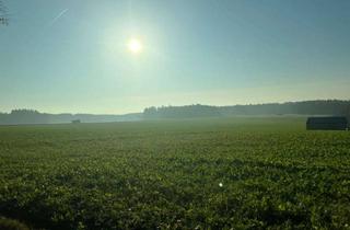 Grundstück zu kaufen in Eichenstrasse 14, 93155 Hemau, Großzügiges Grundstück für Einfamilienhaus mit positiver Bauvoranfrage