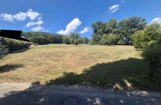 Grundstück zu kaufen in Im Hagenbüchle, 77933 Lahr, Traumhaftes Baugrundstück auf Bergspitze Reichenbachs