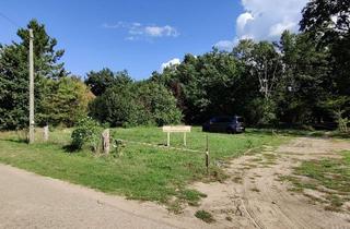 Grundstück zu kaufen in Im Neuen Dorfe 22, 21398 Neetze, Neetze: Baugrundstück / Baulücke / ruhiges Wohngebiet, naturnah, lastenfrei, §34 BauGB