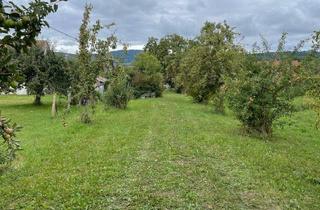 Grundstück zu kaufen in 73529 Schwäbisch Gmünd, Baugrundstück mit Potenzial in top Lage