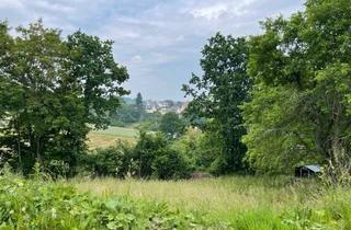 Grundstück zu kaufen in 08064 Cainsdorf, "Ein Platz zum Bleiben" - Baugrundstück mit Fernblick in ruhiger Lage!