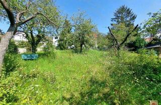 Grundstück zu kaufen in 34128 Jungfernkopf, eines der letzten freien Baugrundstücke am Jungfernkopf / Kassel