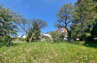 Grundstück zu kaufen in 34128 Jungfernkopf, eines der letzten freien Baugrundstücke am Jungfernkopf / Kassel