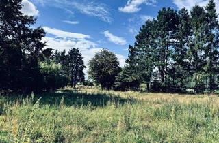 Grundstück zu kaufen in Langenhof, 25436 Uetersen, Wohnen im Einklang mit der Natur. Attraktives Baugrundstück DIREKT vom Eigentümer