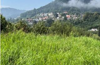 Grundstück zu kaufen in 72275 Alpirsbach, Sonniges Baugrundstück am Hang