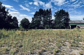 Grundstück zu kaufen in Langenhof, 25436 Uetersen, Wohnen im Einklang mit der Natur. Attraktives Baugrundstück DIREKT vom Eigentümer