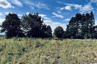 Grundstück zu kaufen in Langenhof, 25436 Uetersen, Wohnen im Einklang mit der Natur. Attraktives Baugrundstück DIREKT vom Eigentümer
