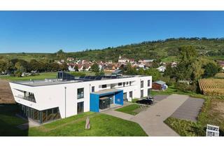 Büro zu mieten in 79241 Ihringen, Attraktive Bürofläche in Wasenweiler – repräsentativ & bezugsfrei