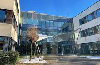 Büro zu mieten in Wilhelm-Bergner-Straße 12, 21509 Glinde, hochwertige Büro- / Ausstellungs- / Serviceflächen