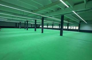 Büro zu mieten in Hölzlestraße 18, 72336 Balingen, hochwertige Büroräume und / oder Industrie-Hallenflächen PROVISIONSFREI alles trennbar