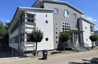 Büro zu mieten in Am Erlengraben, 76275 Ettlingen, Attraktives Dachgeschoss Büro