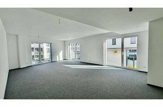 Büro zu mieten in Bertold-Schmidt-Platz, 79787 Lauchringen, Bürofläche ° GE 6 ° MARKTHALLE - Riedpark Lauchringen