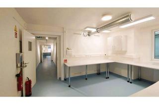 Praxen mieten in 18055 Stadtmitte, Gewerbe- und Praxisräume am Hauptbahnhof zur Miete | www.LUTTER.net