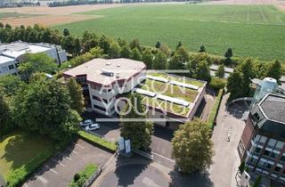 Gewerbeimmobilie kaufen in 65843 Sulzbach, Im Alleinauftrag: Kurzfristig verfügbare, gemischt genutzte Gewerbeimmobilie