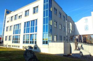 Büro zu mieten in 65428 Rüsselsheim am Main, Großzügige Bürofläche 3.OG im Hasengrund provisionsfrei !