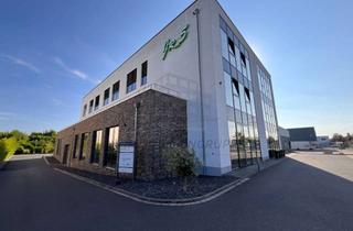 Büro zu mieten in 53844 Troisdorf, Moderne und repräsentative Bürofläche in Troisdorf