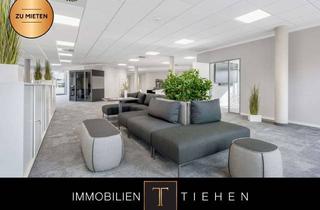 Büro zu mieten in Bernd-Rosemeyer-Straße 9-11, 49808 Lingen, Moderne 319 m² Bürofläche im NOZ-Quartier Lingen zu mieten – optional vollmöbliert, sofort verfügbar