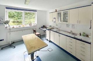 Praxen kaufen in 31157 Sarstedt, Gepflegtes Wohn-/Geschäftshaus mit Praxis-/Gewerbeeinheit